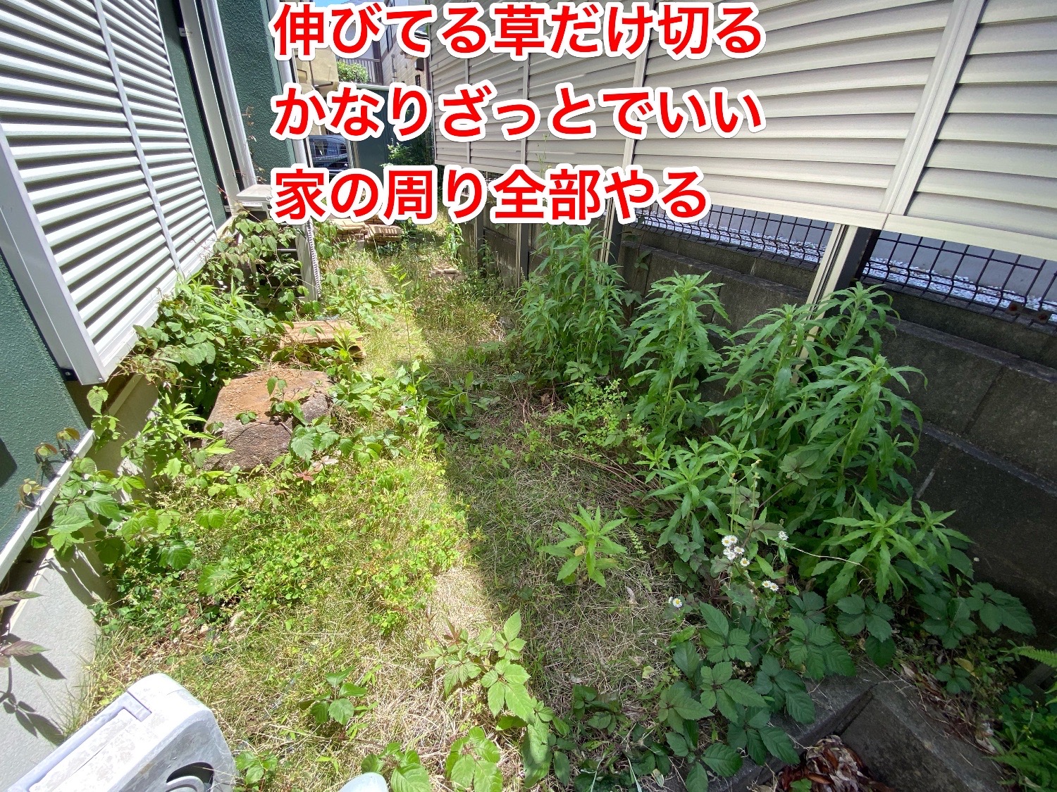 千葉県柏市_残置物撤去_樹木伐採_草刈り_高価買取_不動産売却_一軒家_5LDK_家まわり1_作業前