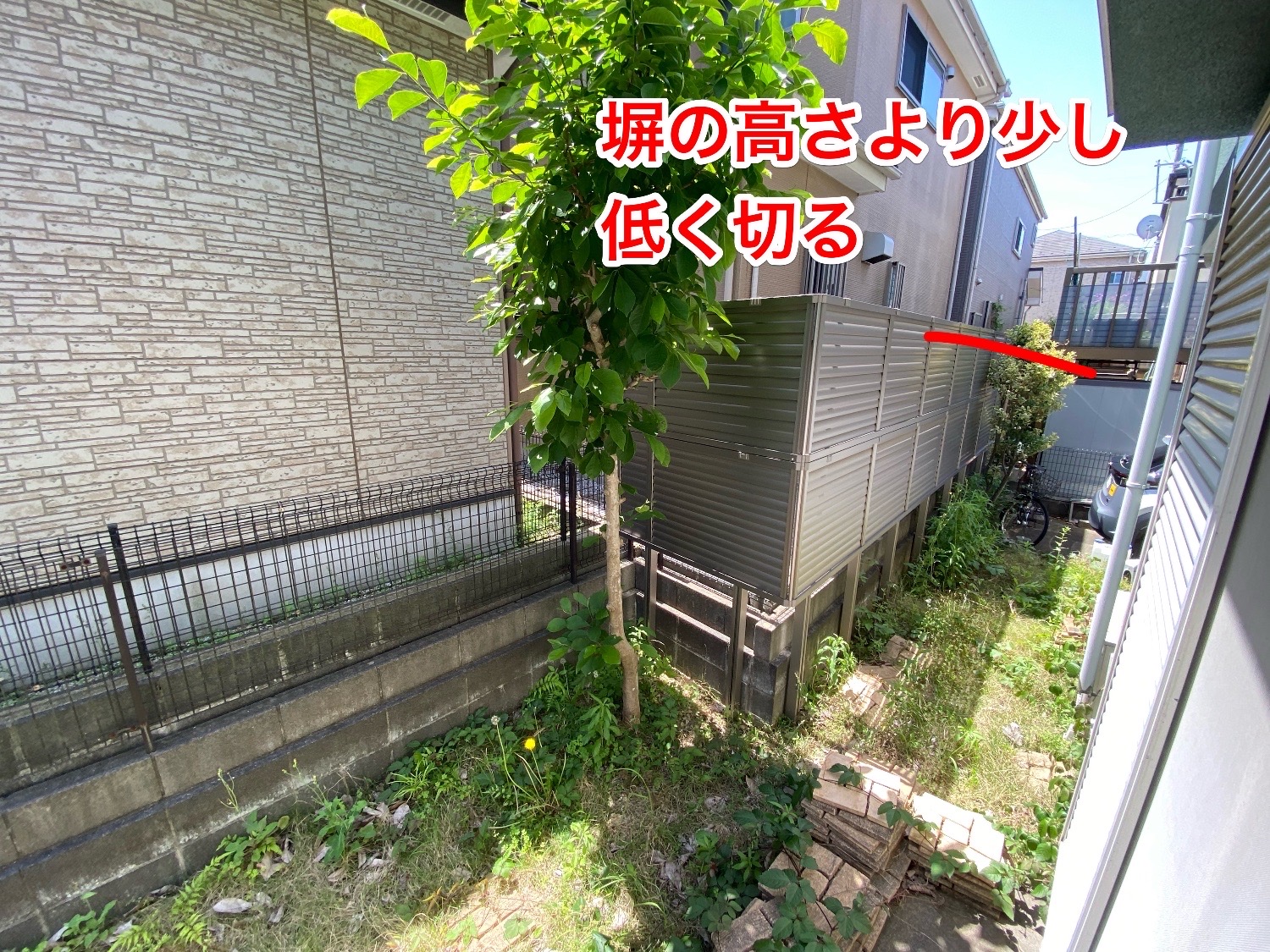 千葉県柏市_残置物撤去_樹木伐採_草刈り_高価買取_不動産売却_一軒家_5LDK_家まわり2_作業前