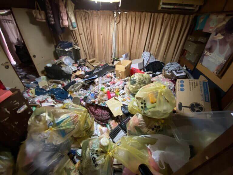 栃木県_真岡市_荒町_ゴミ屋敷清掃_一軒家_3DK_リビング_作業前