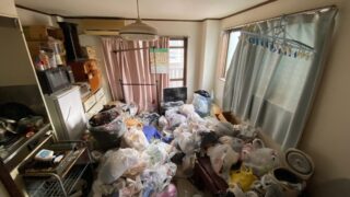 神奈川県 川崎市 幸区 北加瀬 ゴミ屋敷清掃 引っ越し 退去時 アパート 1R リビング 作業前