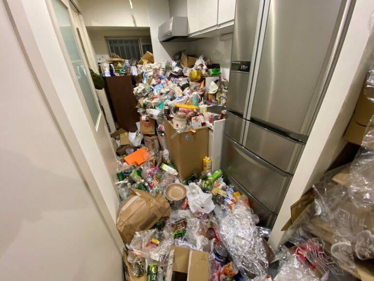 東京都品川区南大井_ゴミ屋敷清掃_ハウスクリーニング_マンション_1DK_キッチン1_作業前