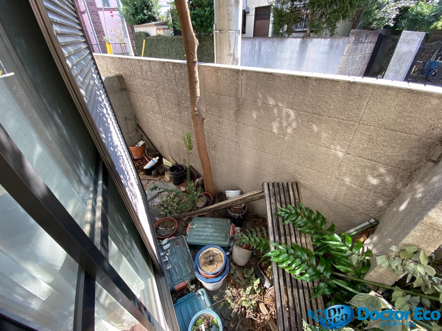 東京都杉並区宮前_残置物撤去_ハウスクリーニング_樹木_草木_伐採_不動産売却_一軒家_5LDK_家周り_作業前