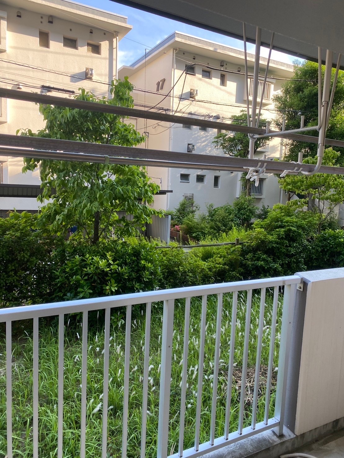 東京都板橋区 残置物撤去 遺品整理 エアコン撤去 引っ越し 退去 団地 都営住宅 2DK ベランダ2 作業前