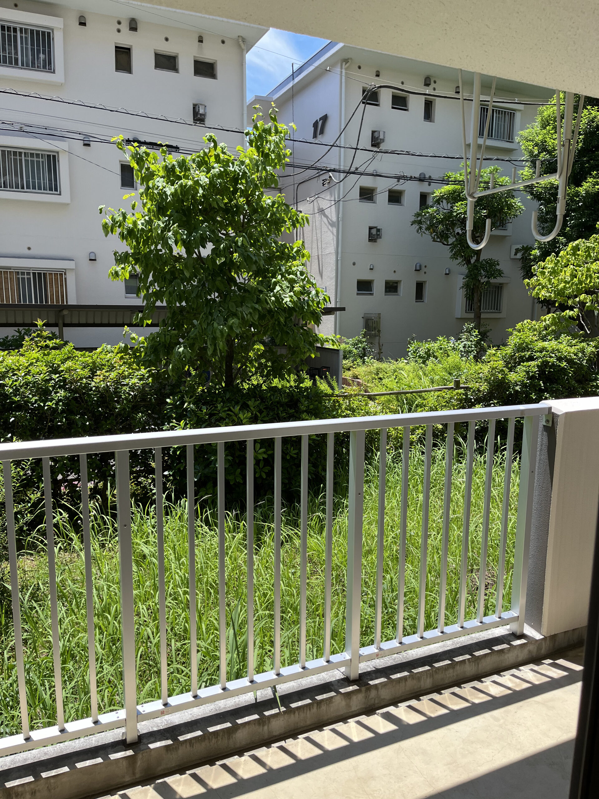東京都板橋区_残置物撤去_遺品整理_エアコン撤去_引っ越し_退去_団地_都営住宅_2DK_ベランダ2_作業後