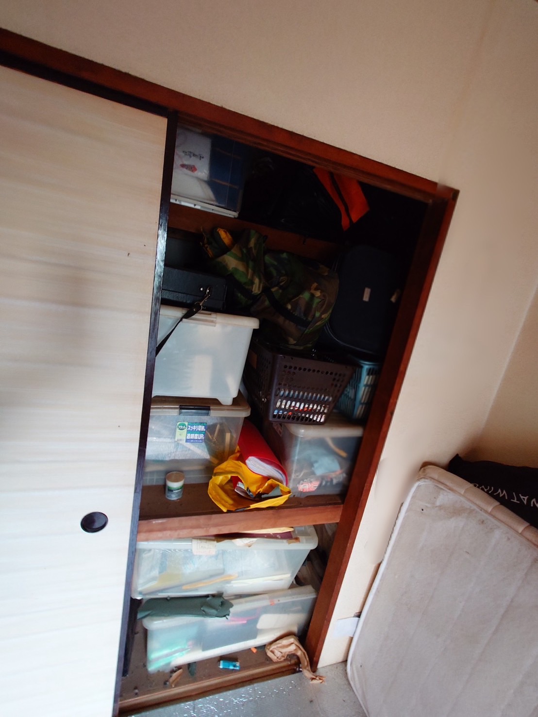 千葉県船橋市_ゴミ屋敷清掃_草刈り_引っ越し_退去時_マンション_4DK_トランクルーム_庭周り_収納1_作業前