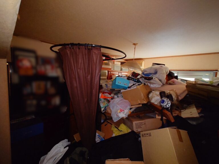 千葉県船橋市_ゴミ屋敷清掃_草刈り_引っ越し_退去時_マンション_4DK_トランクルーム_庭周り_和室5_作業前