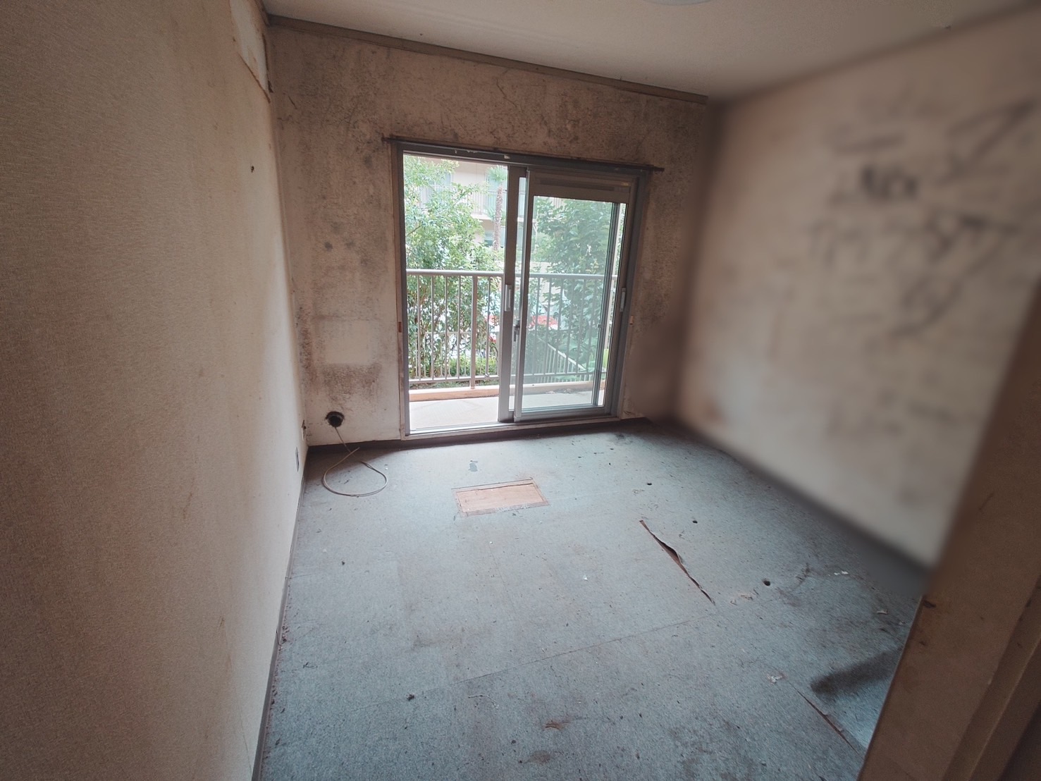 千葉県船橋市_ゴミ屋敷清掃_草刈り_引っ越し_退去時_マンション_4DK_トランクルーム_庭周り_洋室1_作業後