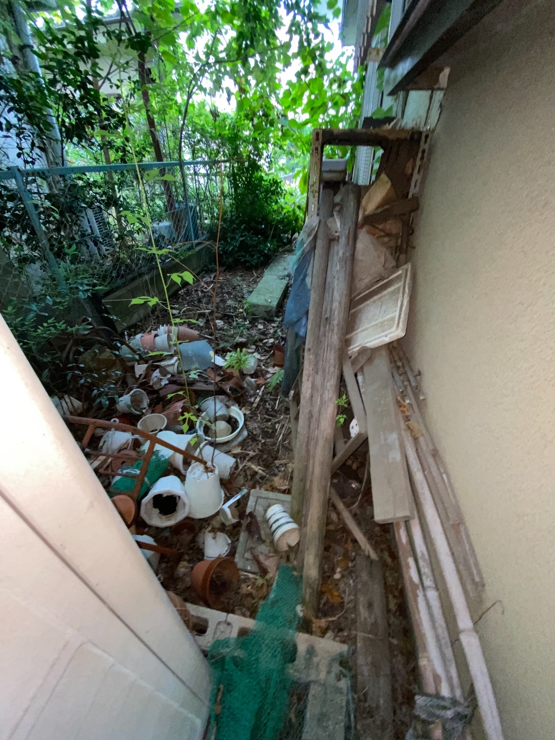 千葉県流山市_不用品回収_物置の解体撤去_庭_草木手入れ_樹木伐採_草刈り_一軒家_外回り_不用品8_作業前