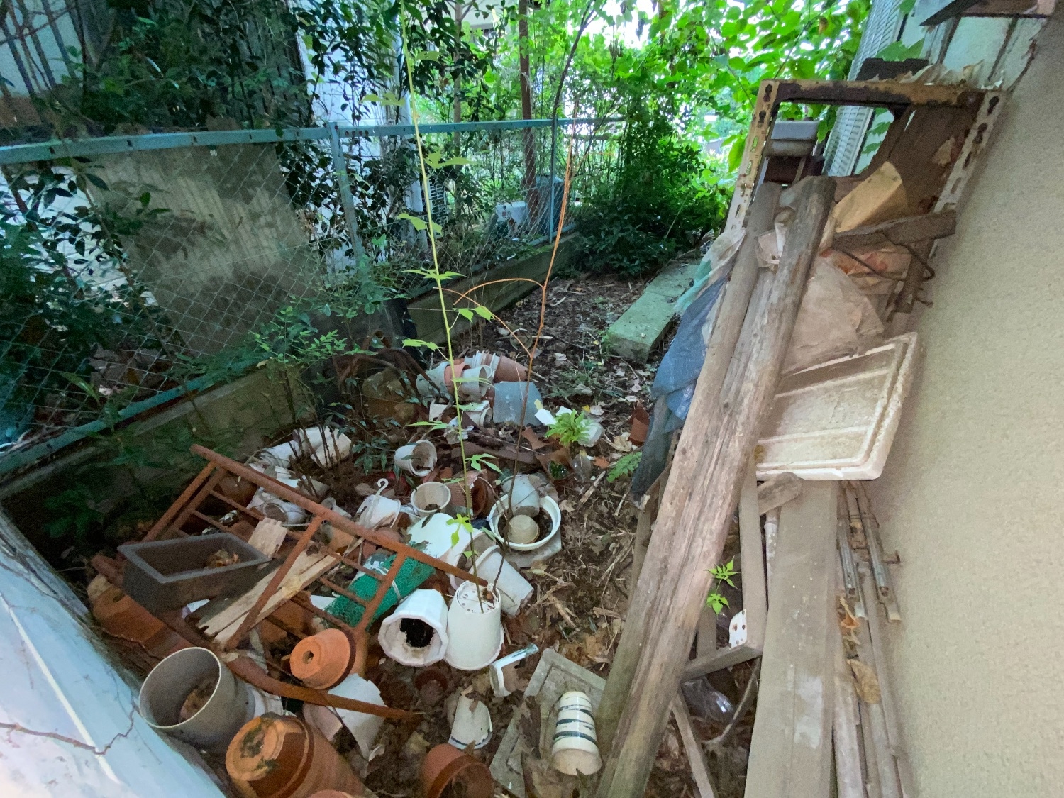 千葉県流山市_不用品回収_物置の解体撤去_庭_草木手入れ_樹木伐採_草刈り_一軒家_外回り_不用品9_作業前