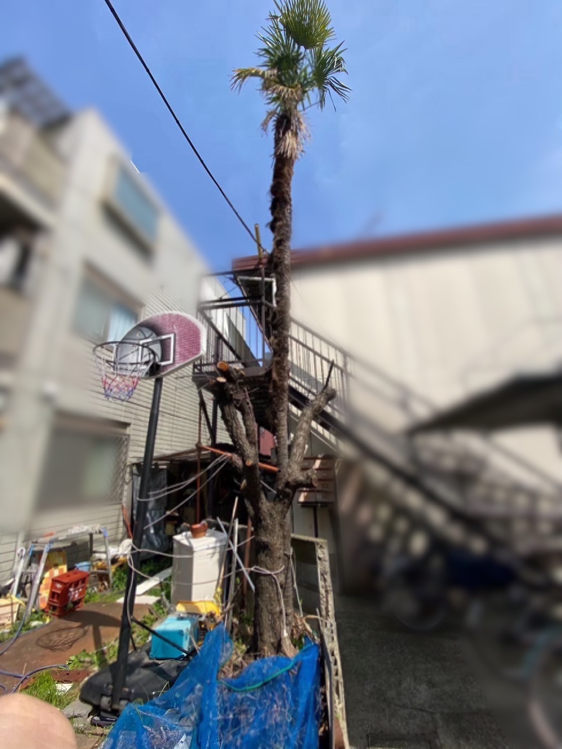 神奈川県川崎市中原区_解体工事_残置物撤去_建て替え_リフォーム_不動産所得_アパート_一棟_庭_解体前