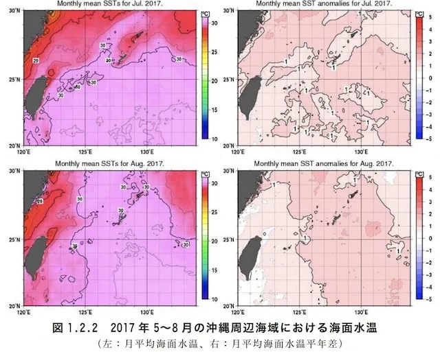 沖縄_海水温度_過去最高