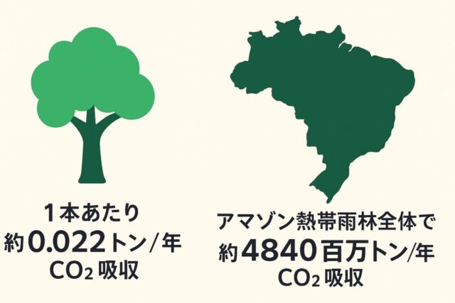 二酸化炭素の消費量_木_アマゾン