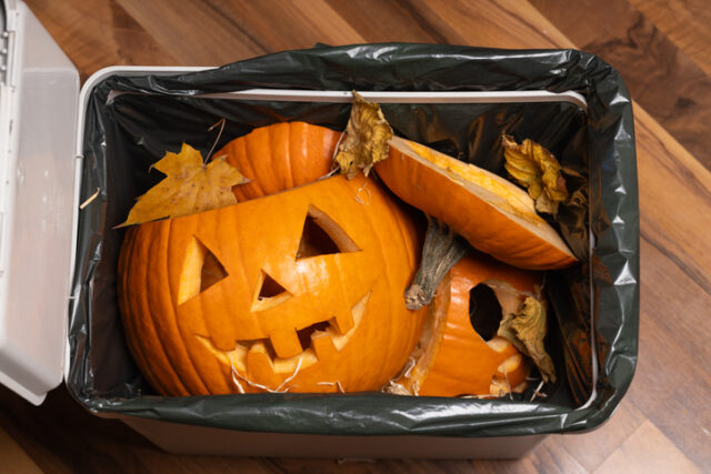 ハロウィン_ゴミ