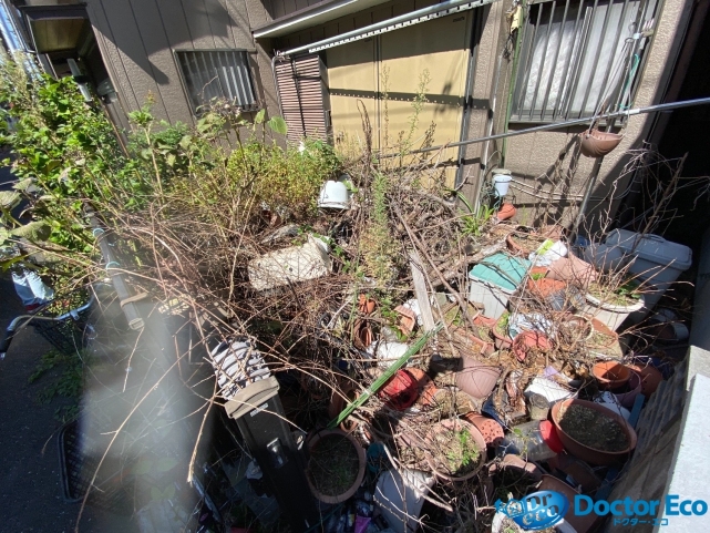 埼玉県川口市芝富士_不用品回収_樹木伐採_家周り_庭_庭2_一軒家作業前