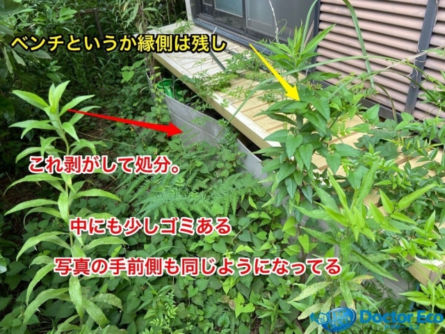 千葉県船橋市芝山_残置物撤去_不動産売却_一軒家_6SDK_庭_作業前